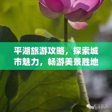平湖旅游攻略，探索城市魅力，畅游美景胜地