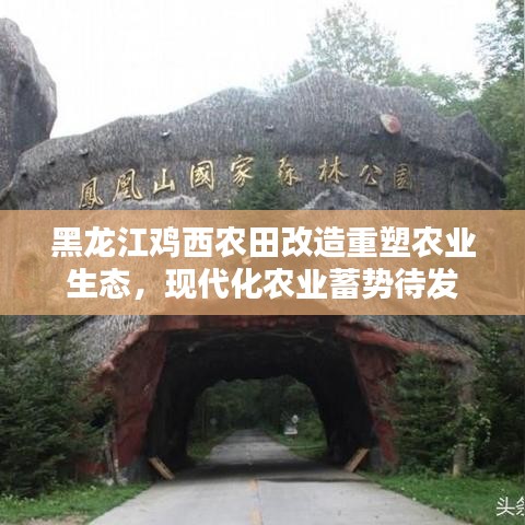 黑龙江鸡西农田改造重塑农业生态，现代化农业蓄势待发