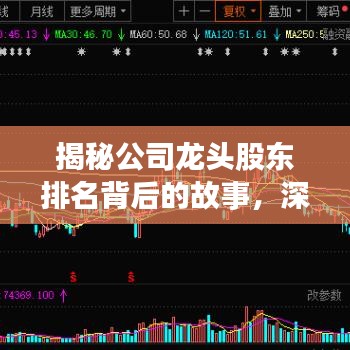 揭秘公司龙头股东排名背后的故事，深度解析大股东背后的力量与故事！