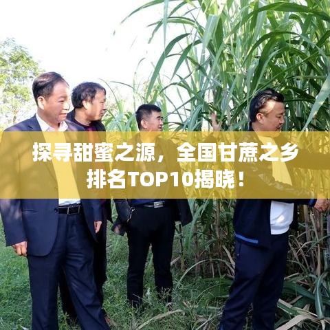 探寻甜蜜之源，全国甘蔗之乡排名TOP10揭晓！