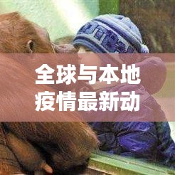 全球与本地疫情最新动态，今日疫情预报更新及应对策略揭秘