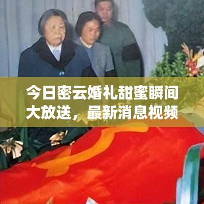 今日密云婚礼甜蜜瞬间大放送，最新消息视频精彩呈现！