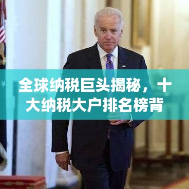 全球纳税巨头揭秘，十大纳税大户排名榜背后的故事