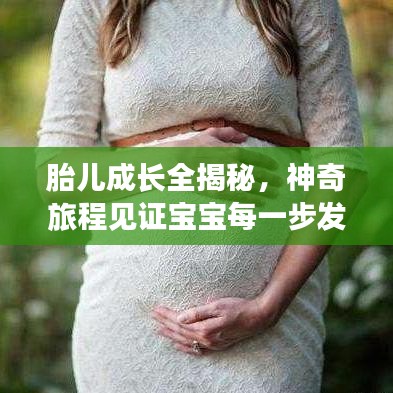 胎儿成长全揭秘，神奇旅程见证宝宝每一步发展