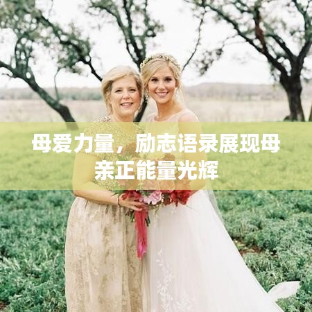 母爱力量，励志语录展现母亲正能量光辉