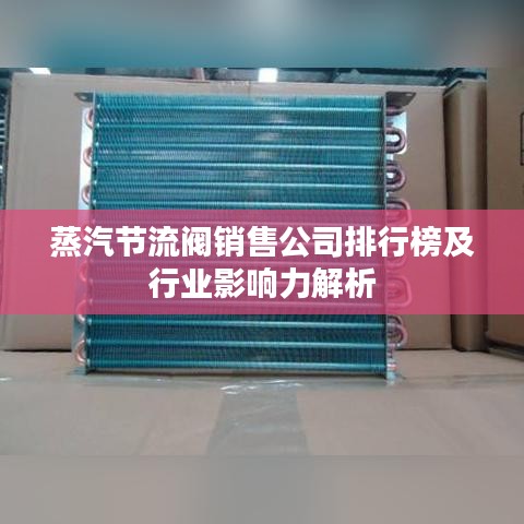 蒸汽节流阀销售公司排行榜及行业影响力解析