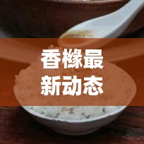 香橼最新动态速递，今日消息全面解析