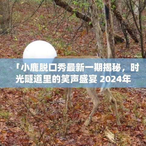 「小鹿脱口秀最新一期揭秘，时光隧道里的笑声盛宴 2024年独家呈现」