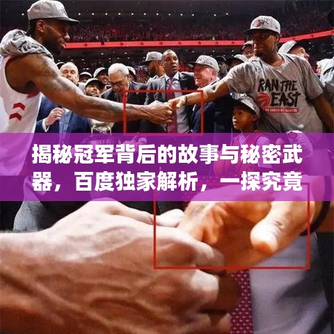 揭秘冠军背后的故事与秘密武器，百度独家解析，一探究竟！