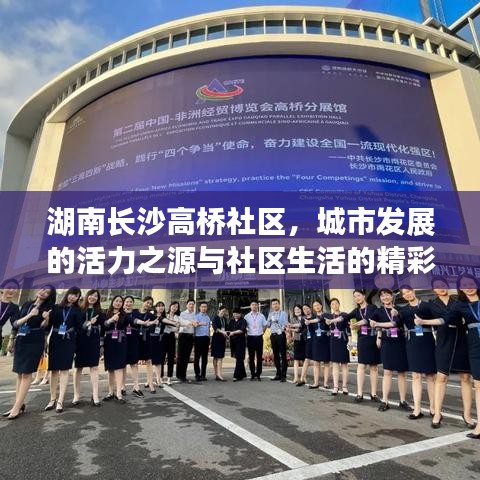 湖南长沙高桥社区，城市发展的活力之源与社区生活的精彩瞬间