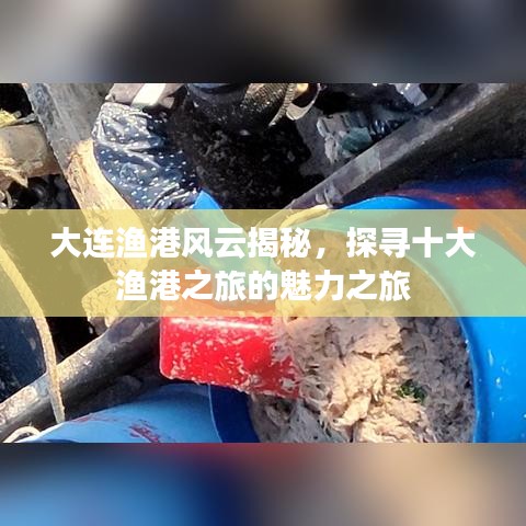 大连渔港风云揭秘，探寻十大渔港之旅的魅力之旅