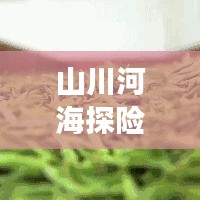 山川河海探险之旅，自然之美的深度攻略