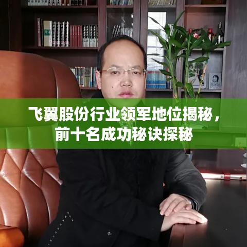飞翼股份行业领军地位揭秘，前十名成功秘诀探秘