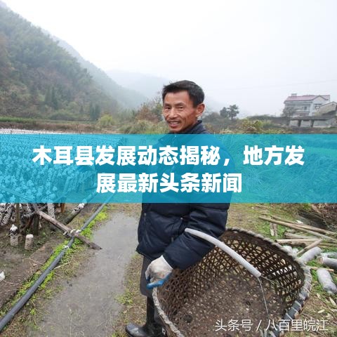 木耳县发展动态揭秘，地方发展最新头条新闻