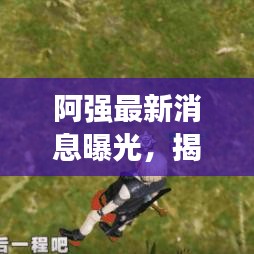 阿强最新消息曝光，揭秘动态与背后故事！