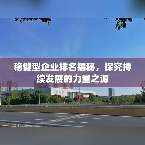 稳健型企业排名揭秘，探究持续发展的力量之源