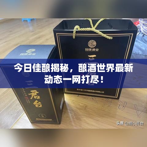 今日佳酿揭秘，酿酒世界最新动态一网打尽！
