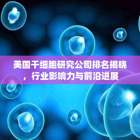 公司动态 第49页