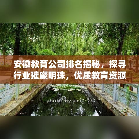 安徽教育公司排名揭秘，探寻行业璀璨明珠，优质教育资源一网打尽！