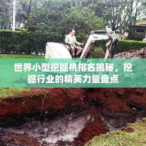 公司动态 第61页