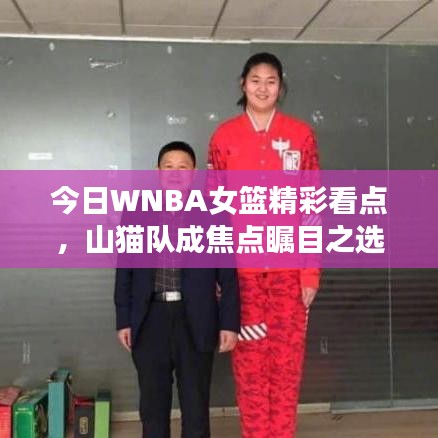 公司动态 第59页