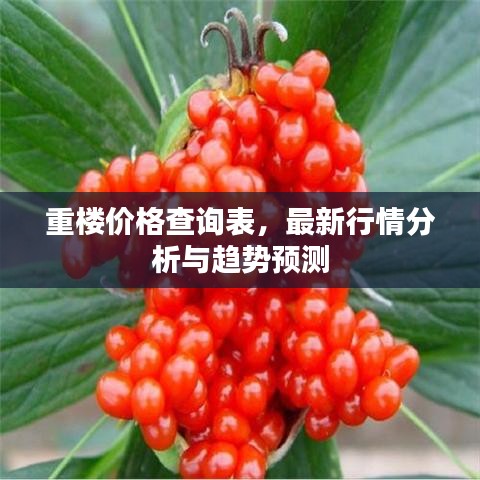重楼价格查询表，最新行情分析与趋势预测