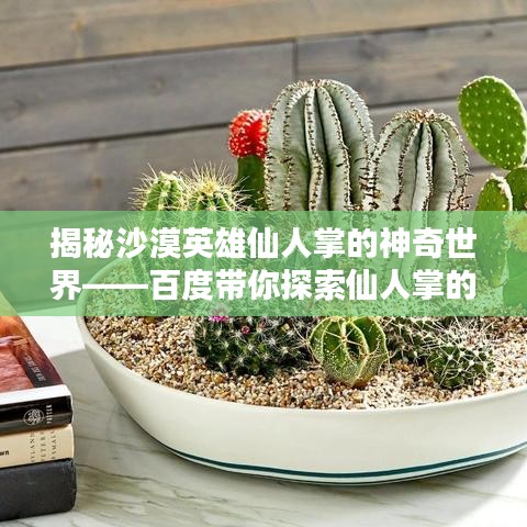 揭秘沙漠英雄仙人掌的神奇世界——百度带你探索仙人掌的秘密
