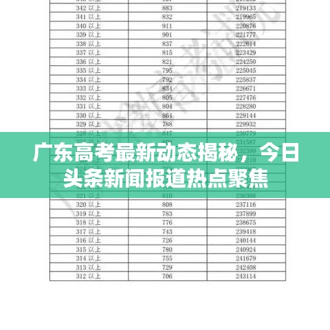 广东高考最新动态揭秘，今日头条新闻报道热点聚焦