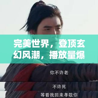 完美世界，登顶玄幻风潮，播放量爆表