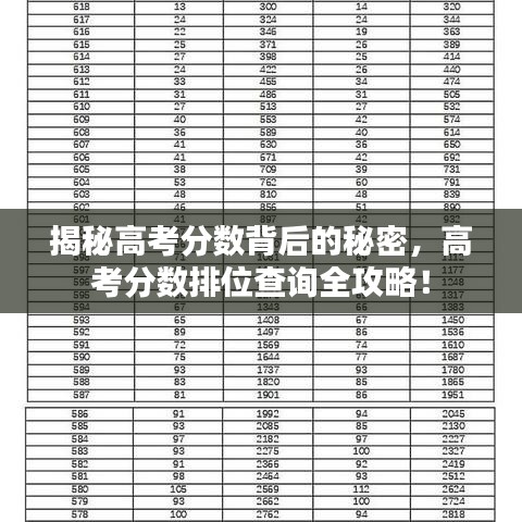 揭秘高考分数背后的秘密，高考分数排位查询全攻略！
