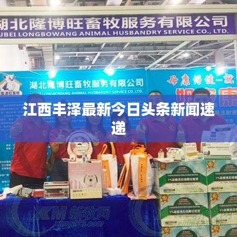 江西丰泽最新今日头条新闻速递