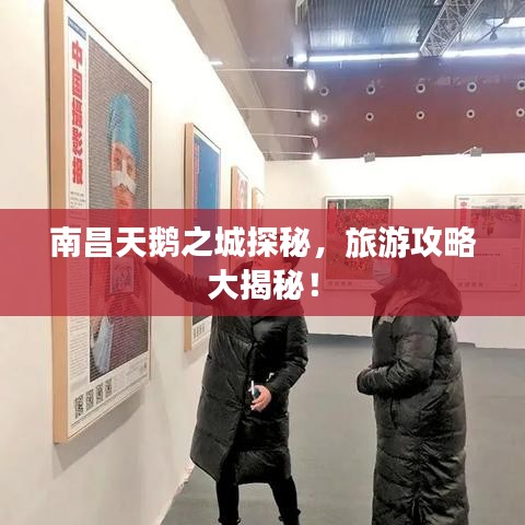 南昌天鹅之城探秘，旅游攻略大揭秘！