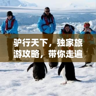 驴行天下，独家旅游攻略，带你走遍天下！