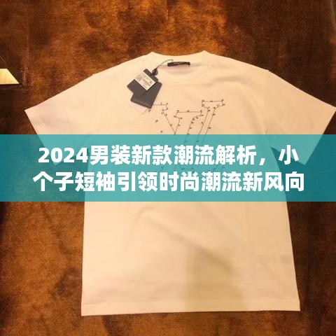 2024男装新款潮流解析，小个子短袖引领时尚潮流新风向！