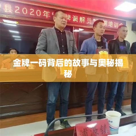 金牌一码背后的故事与奥秘揭秘