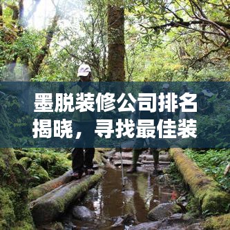墨脱装修公司排名揭晓，寻找最佳装修伙伴指南