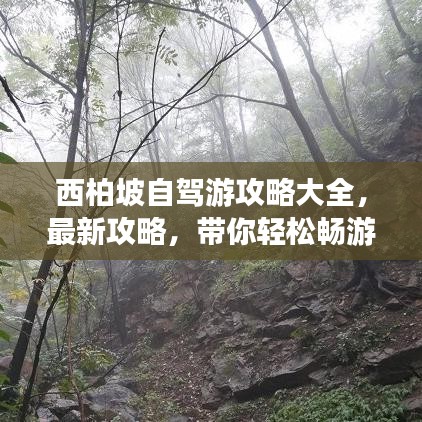 西柏坡自驾游攻略大全，最新攻略，带你轻松畅游！