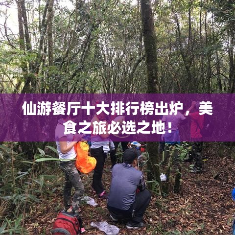 仙游餐厅十大排行榜出炉，美食之旅必选之地！
