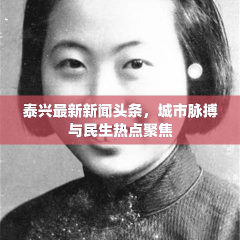 泰兴最新新闻头条，城市脉搏与民生热点聚焦