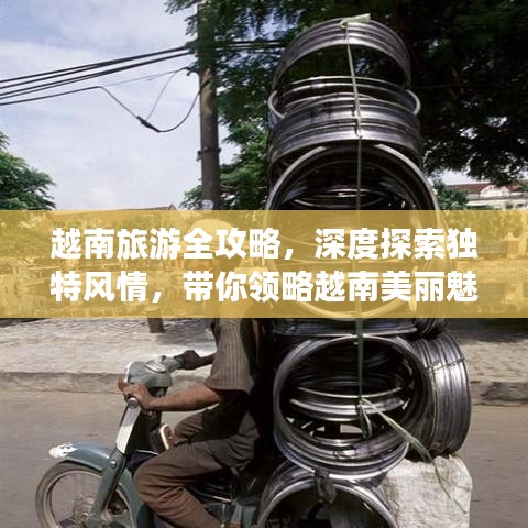 越南旅游全攻略，深度探索独特风情，带你领略越南美丽魅力