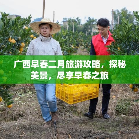 广西早春二月旅游攻略，探秘美景，尽享早春之旅
