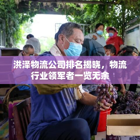 洪泽物流公司排名揭晓，物流行业领军者一览无余