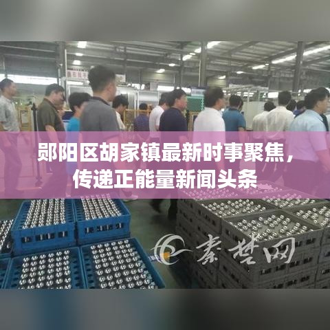 郧阳区胡家镇最新时事聚焦，传递正能量新闻头条