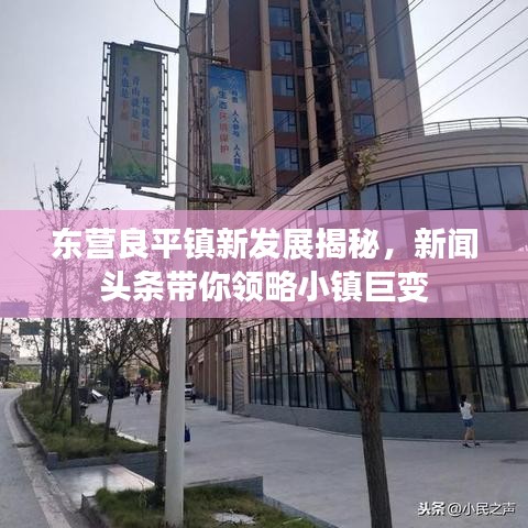 东营良平镇新发展揭秘，新闻头条带你领略小镇巨变