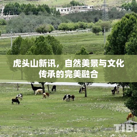 虎头山新讯，自然美景与文化传承的完美融合