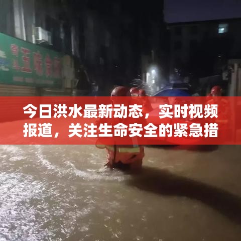 今日洪水最新动态，实时视频报道，关注生命安全的紧急措施！