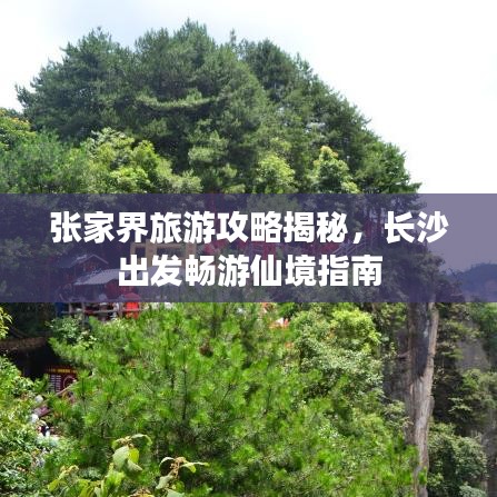 张家界旅游攻略揭秘，长沙出发畅游仙境指南
