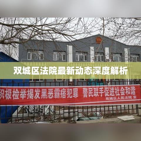 双城区法院最新动态深度解析