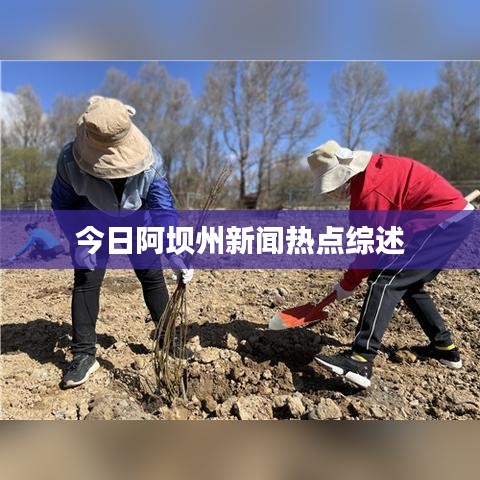今日阿坝州新闻热点综述