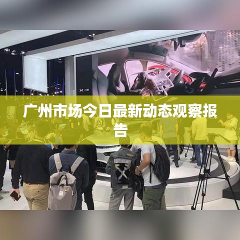 广州市场今日最新动态观察报告